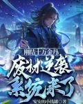 刚结十万金丹,废材逆袭系统来了