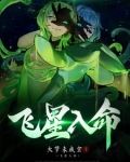 飞星入命