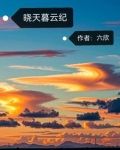晓天暮云纪