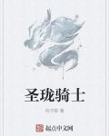 圣珑骑士