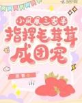 小凤凰三岁半,指挥毛茸茸成团宠