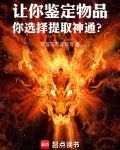 让你鉴定物品,你选择提取神通?