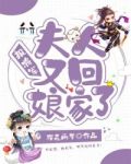 报将军:夫人又回娘家了!