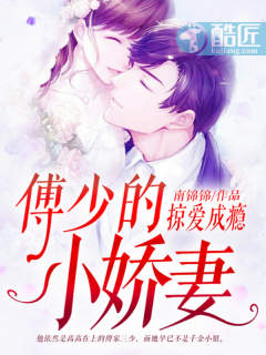 掠爱成瘾:傅少的小娇妻(又名:情深意动:傅少宠入骨)