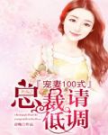 宠妻100式:总裁请低调