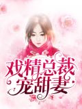 戏精总裁宠甜妻路雪沁