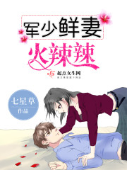 重生女兵:全能军嫂的幸福生活
