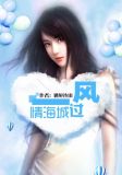 小说风过情海城