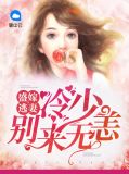 盛嫁逃妻:冷少别来无恙