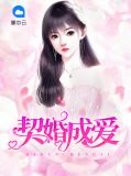 契婚成爱诗夏