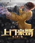 上门豪婿txt下载
