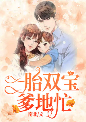 一胎双宝爹地忙