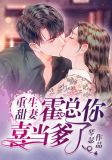 重生甜妻:霍总,你喜当爹了