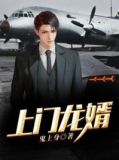 上门龙婿2911
