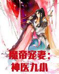 魔帝宠妻:神医九小姐