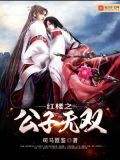 无情+水红楼之公子无双