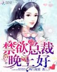 傲娇总裁,你好!