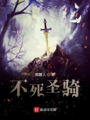 不死圣骑