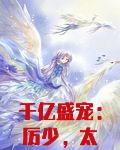 千亿盛宠:厉少,太强势