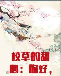 校草的甜心:你好,女朋友!