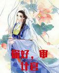 你好,审计官