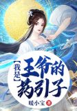 我是王爷的药引子