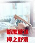 暗黑破坏神之野蛮人小白