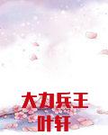 顶级兵王叶轩