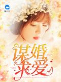 谋婚求爱