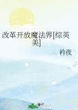 改革开放魔法界[综英美]无防盗