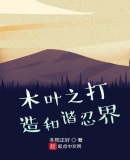 木叶之硬核匠忍