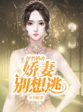 怦然婚动,娇妻别想逃林晨陆景西