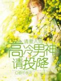 请妻入局:高冷男神请投降