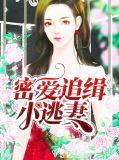 密爱追缉小逃妻林诺微