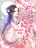 妃你不可:冷面王爷束手就擒