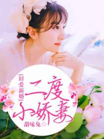 旧爱新婚:二度小娇妻