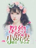 契约小娇妻樱花一梦全文免费阅读