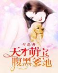 天才萌宝腹黑爹地