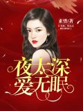 夜太深爱无眠江免费阅读