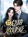 枕上诱情:总裁,超厉害