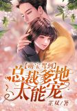 萌宝驾到:总裁爹地太能宠