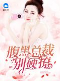 腹黑总裁别硬撩傅弈裴