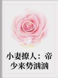 小妻撩人:帝少来势汹汹