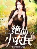 绝品小农民第2部