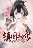 镇国王妃