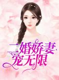 二婚娇妻狠抢手