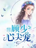 婚离不舍,顾少心尖宠