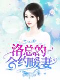 洛总的合约暖妻宁姜