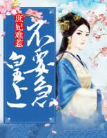 庶妃难惹:皇上,不要急