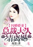 闪婚娇妻:总裁大人请离婚